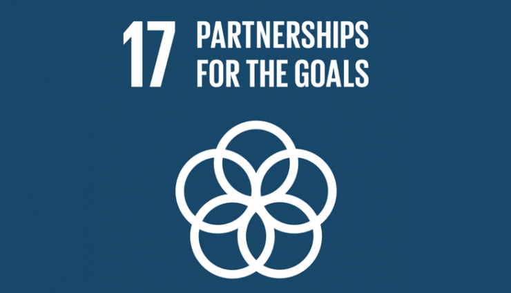 53_SDG_-_news SDG 17 - Partnerships and collaborative solutions are essential to drive meaningful change